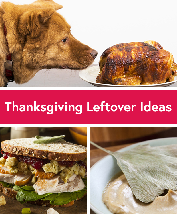 5 Fresh Ways to Use Thanksgiving Leftovers 5 Fresh Ways to Use Thanksgiving Leftovers